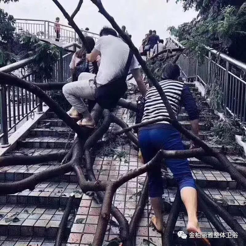 致敬逆风而行的人：“山竹”不可爱，但你们很可爱！