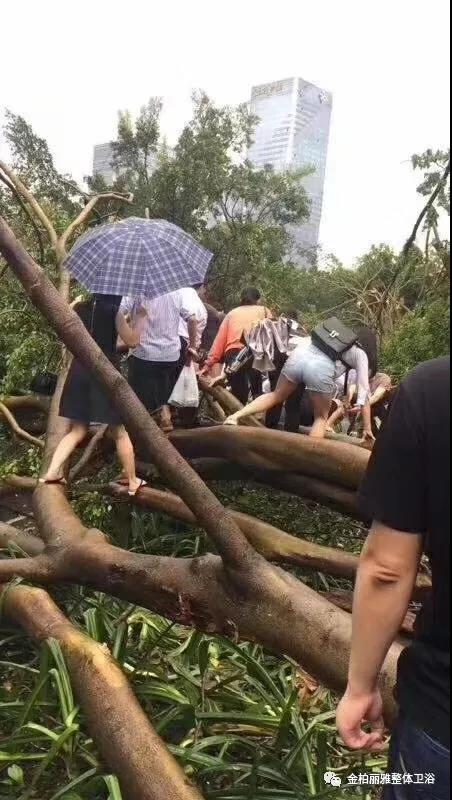 致敬逆风而行的人：“山竹”不可爱，但你们很可爱！