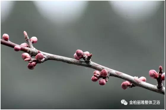 春分时节丨让家居来一场换季